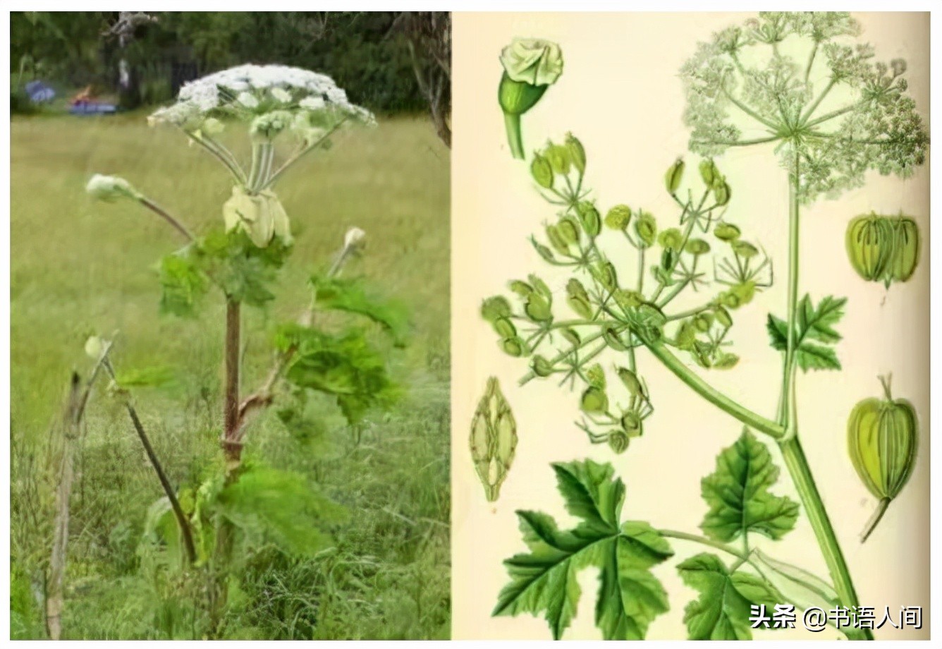 古人的生活雅趣,古人的雅致是深入骨子里