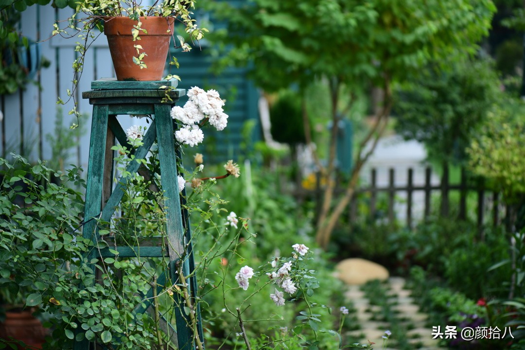 看到你的花园那么惨，我就安心了|园丁