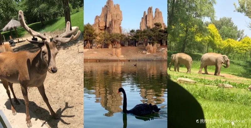 北京大兴附近旅游城市,中国旅游地图打卡