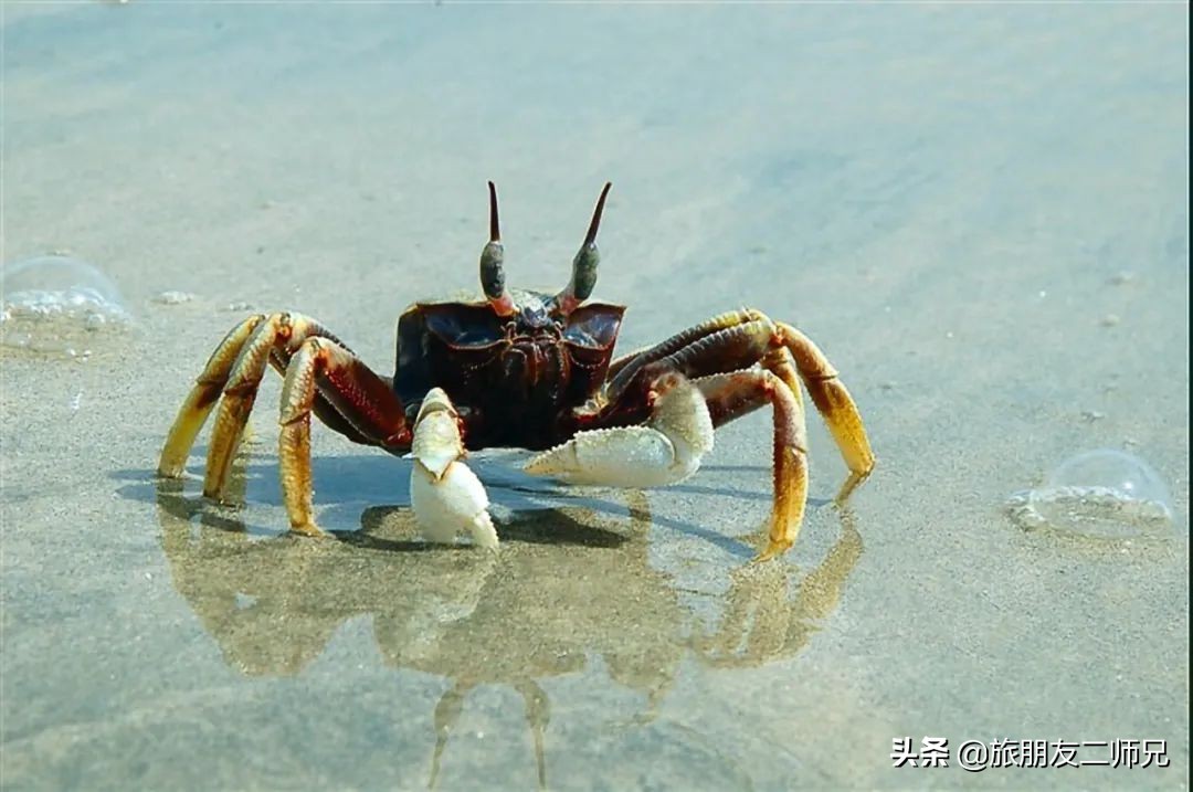 台山三日游自由行攻略,广州到江门下川岛旅游攻略