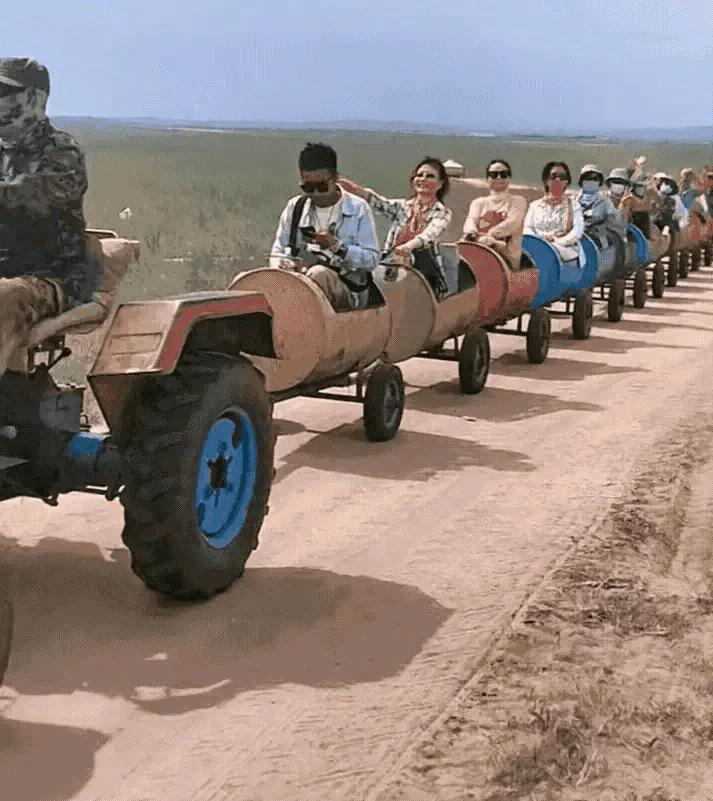 狗子看猫咪很轻松地就上去了，也学着来，结果把猫咪的窝给砸了