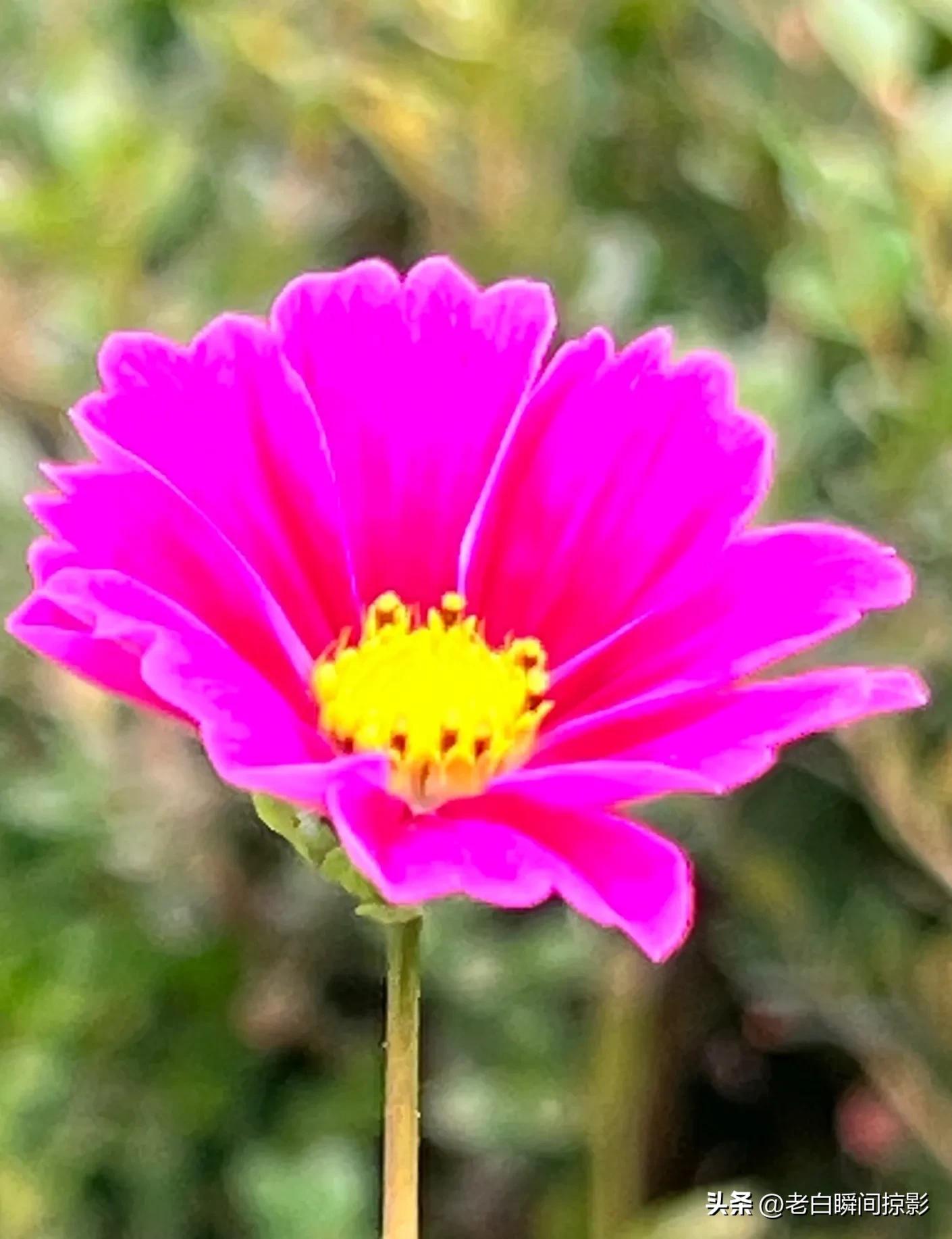 人不能闲着一闲就会多事,人不能闲着一闲就想太多