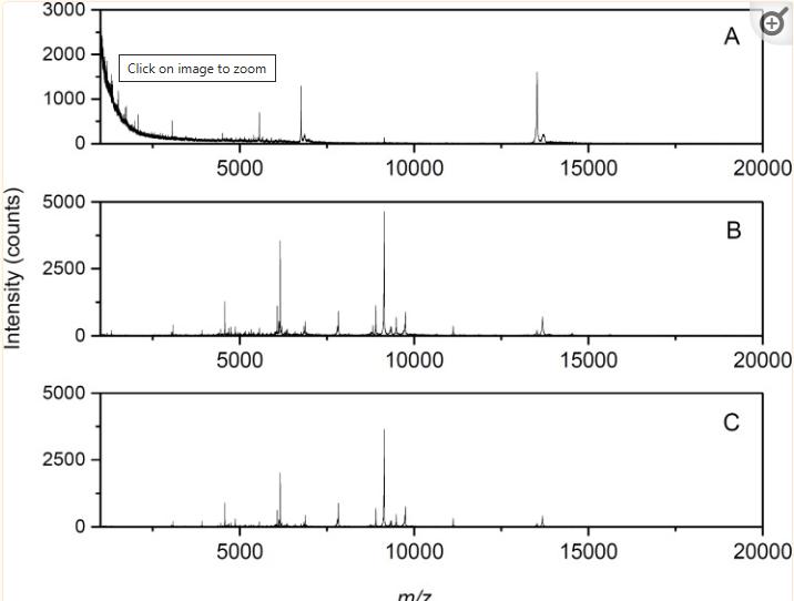 蓝藻球菌的完整细胞MALDI-TOF质谱分析，用于分类和鉴定标记蛋白