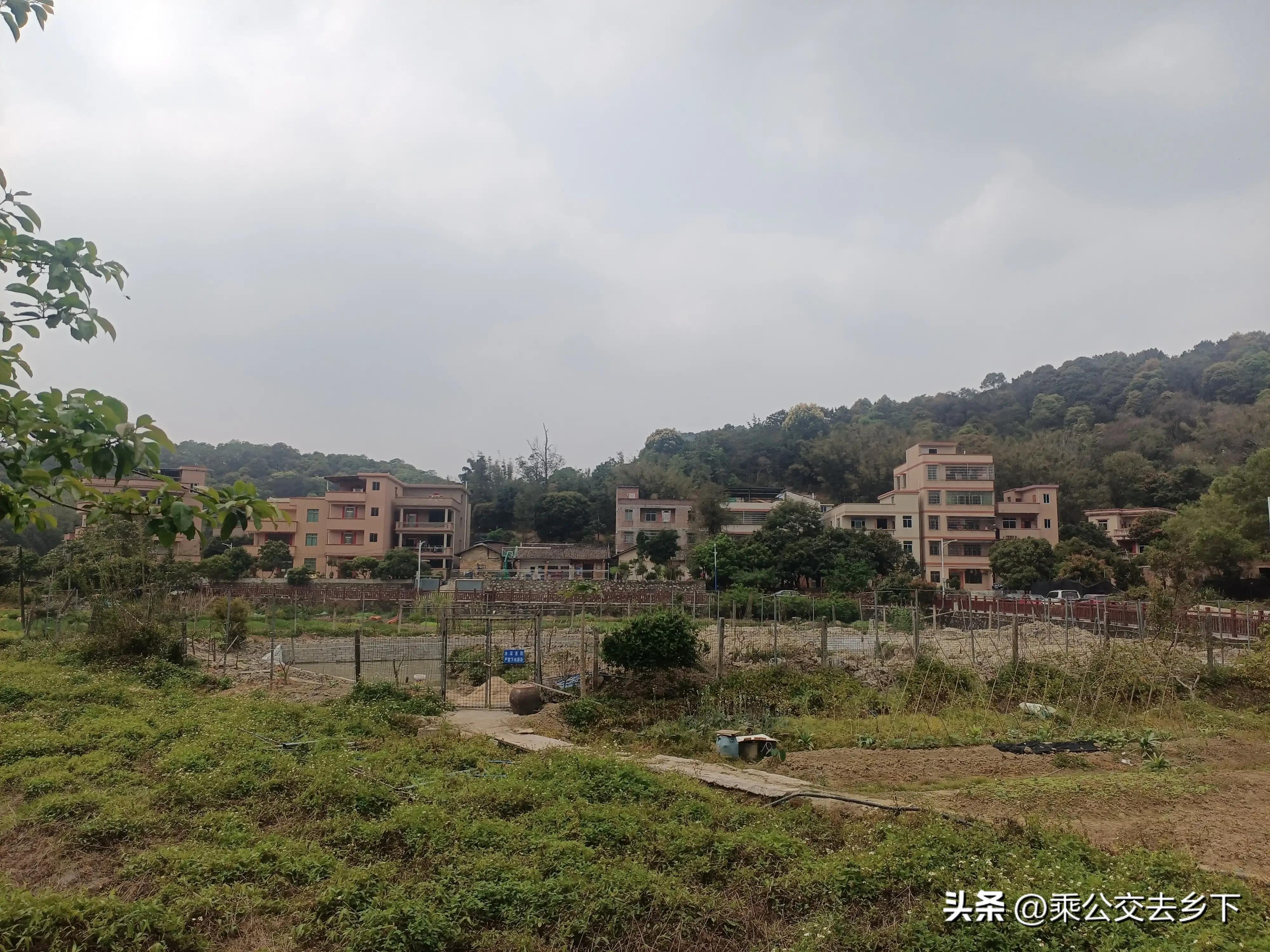 穗丰村-一所学校带来的繁荣