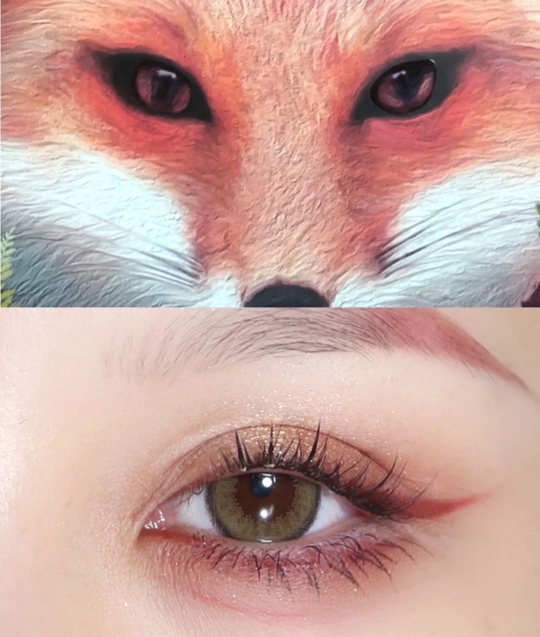 既像狐狸眼又像桃花眼的眼睛,男生桃花眼和女生桃花眼区别