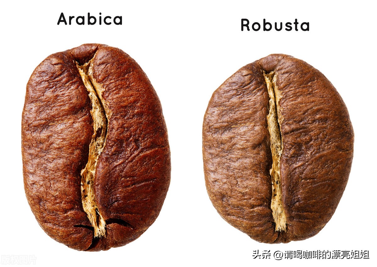 目前的速溶咖啡如何挑选,速溶咖啡生产工艺流程和设备