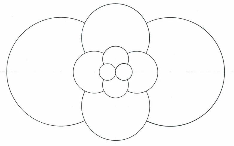 几何之花2：圆的内部分裂