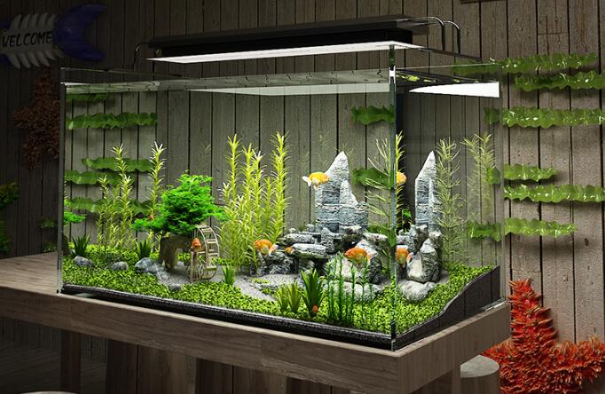 龟周边用品,圆形大陶瓷缸养龟用品