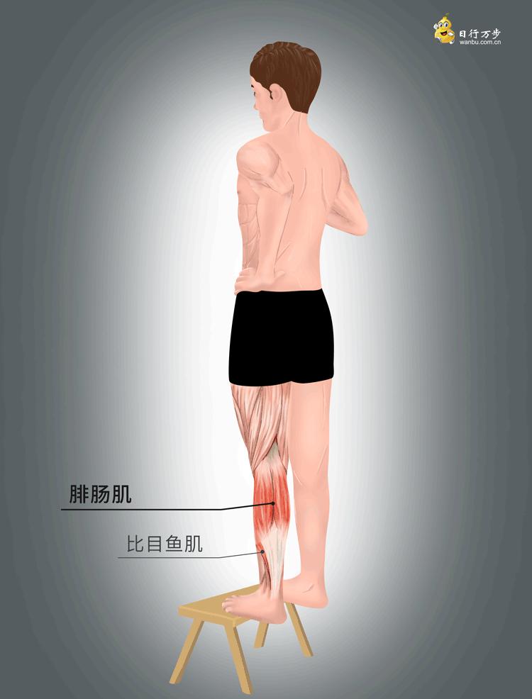 人老腿先老的锻炼方法动画,人老先老腿最全练腿攻略来了