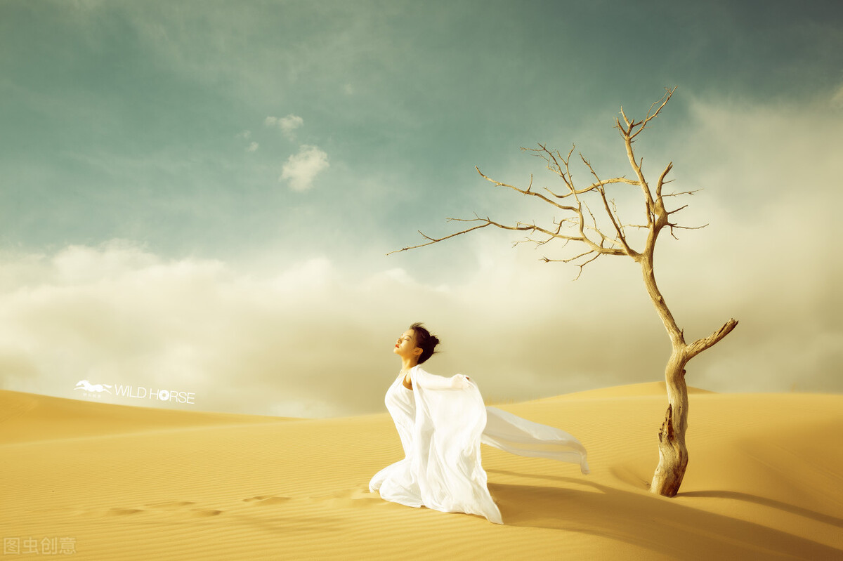 pandora占星小巫运势,Pandora占星小巫