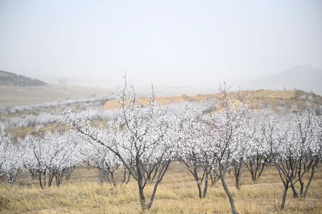 大美边疆高清图片,大美河山国泰民安视频