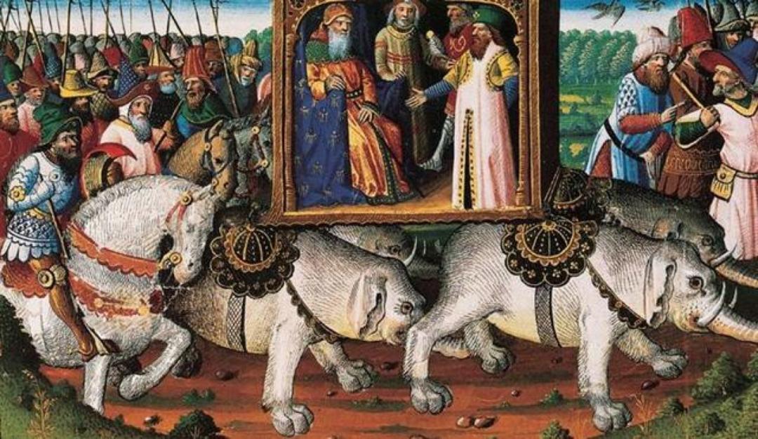 丫丫目前回国的样子,丫丫回国是好事还是坏事