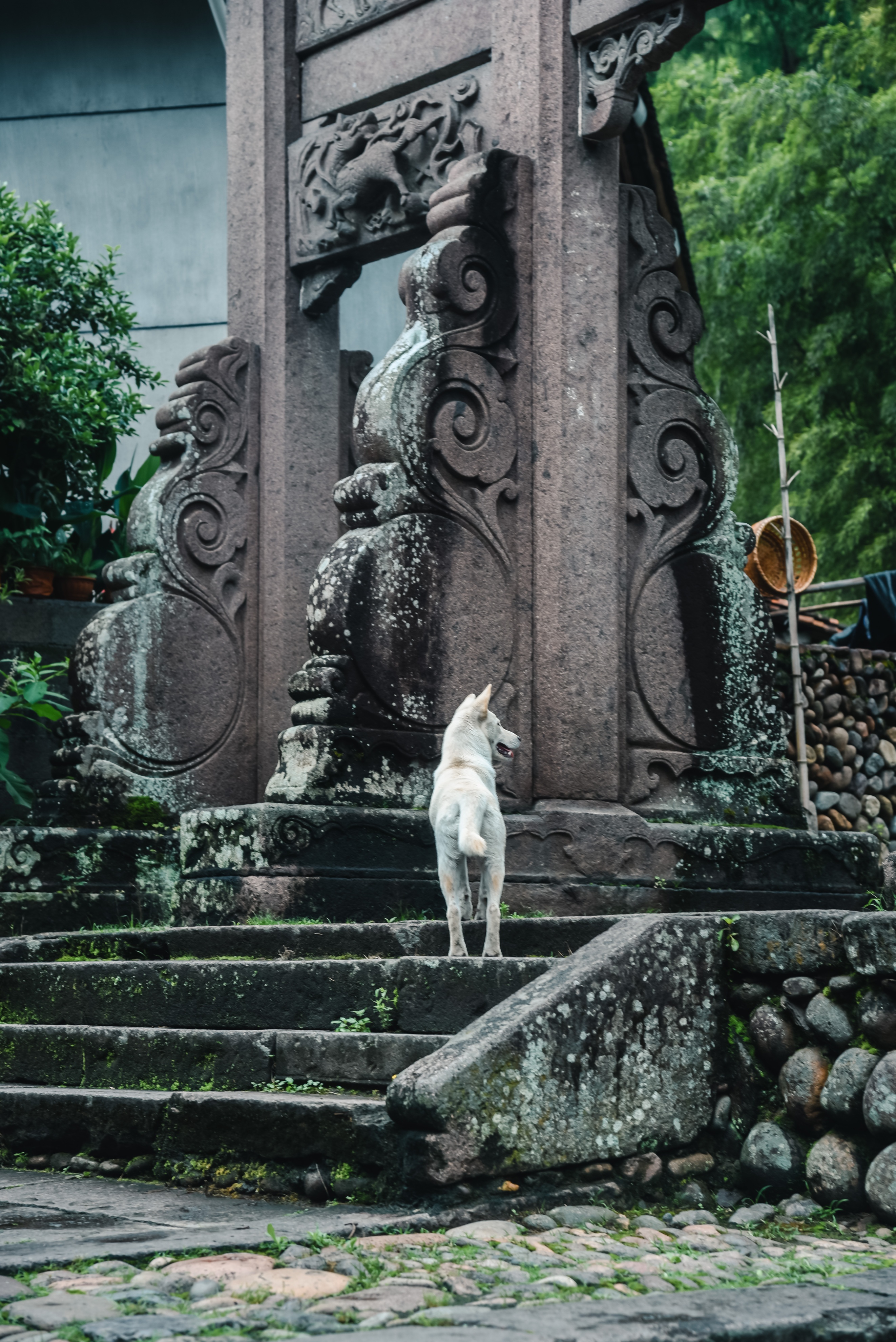 丽水遂昌旅游攻略一天游 (丽水遂昌被称旅游胜地)