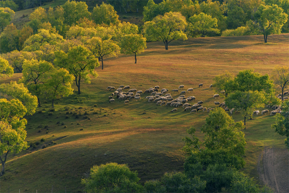 职场领导不重视你怎么办,职场中领导排挤你4个征兆