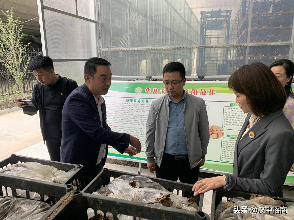 国药中联药业有限公司,国药中联集团有限公司