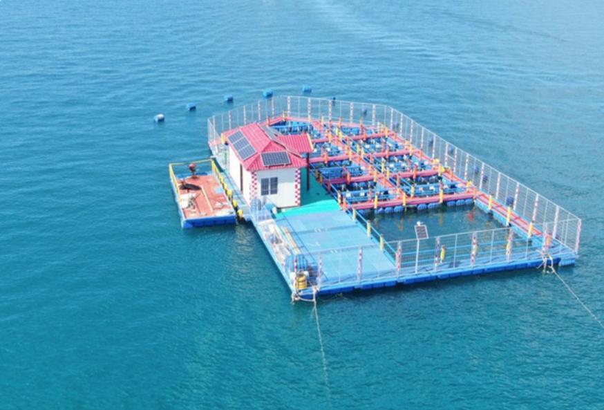 海水提铀装置国内外研究现状,我国海水提铀技术成就新闻