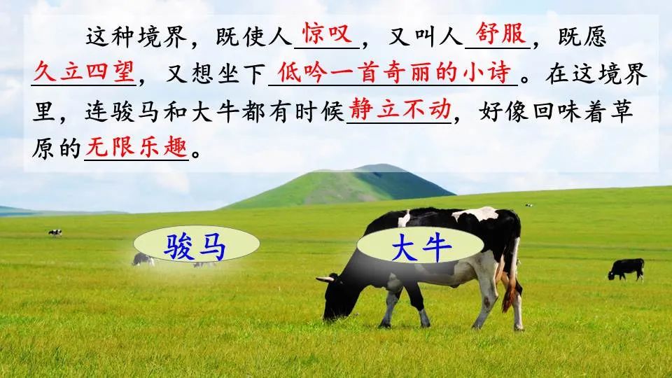 部编版六年级语文课文预习第1课,部编版六年级上册语文书草原预习