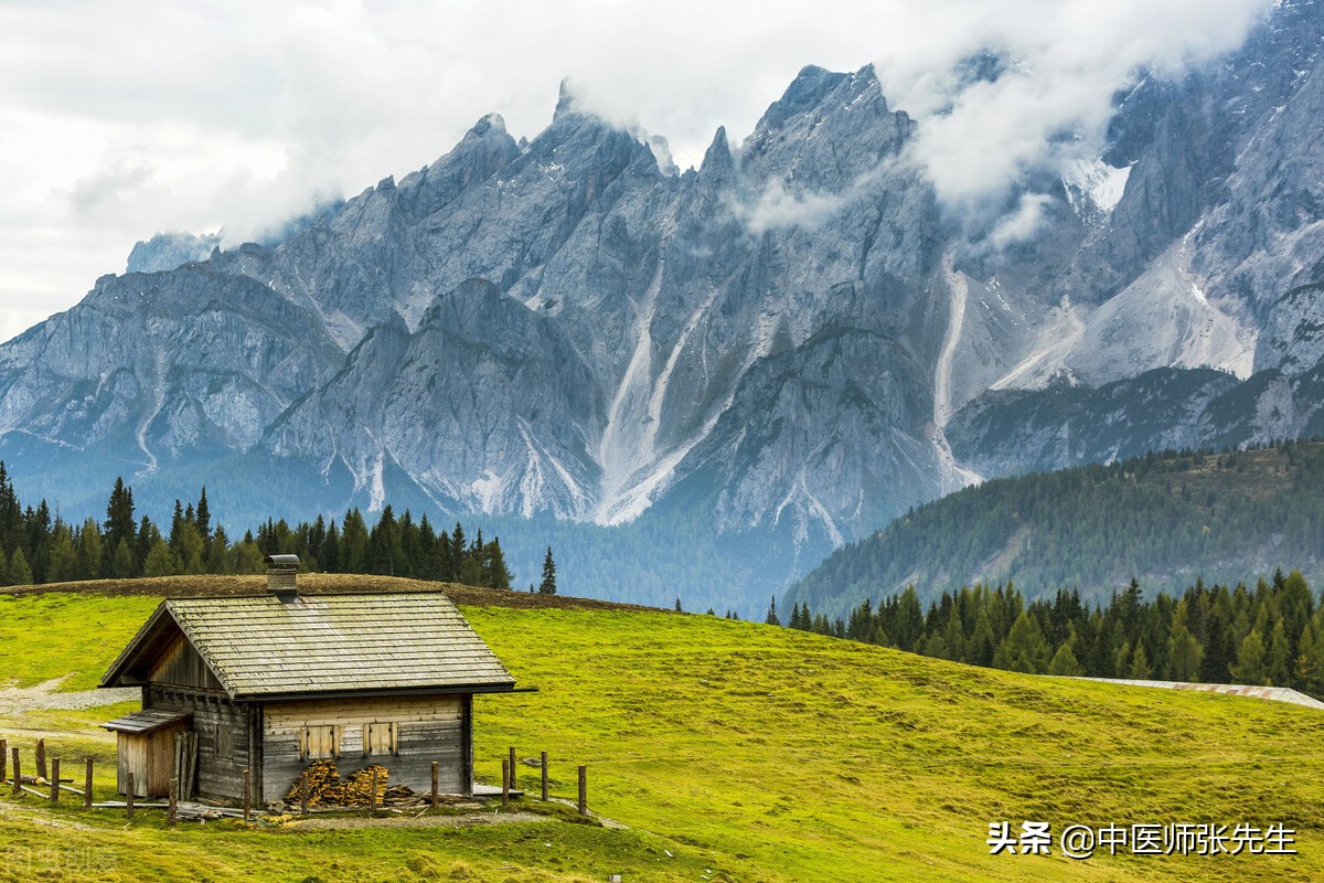 养生与治疗的区别,养生的另外说法