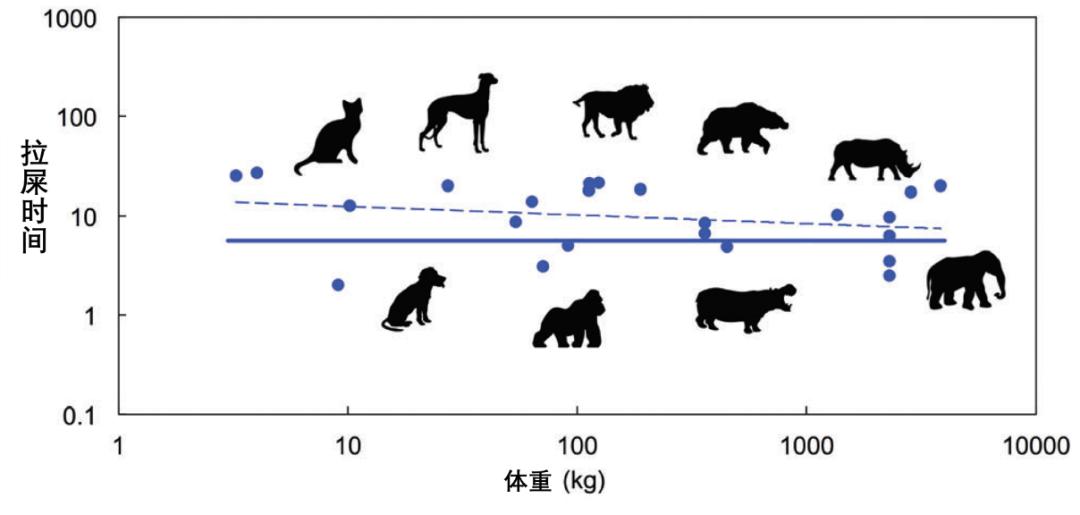 拉一次大便有两斤吗,拉一次屎能排多少毒