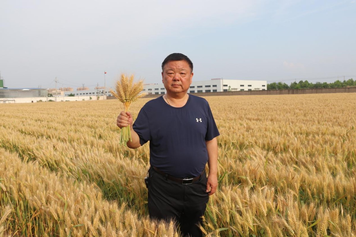 荣莉莱农业技术服务,河南荣莉莱商贸有限公司