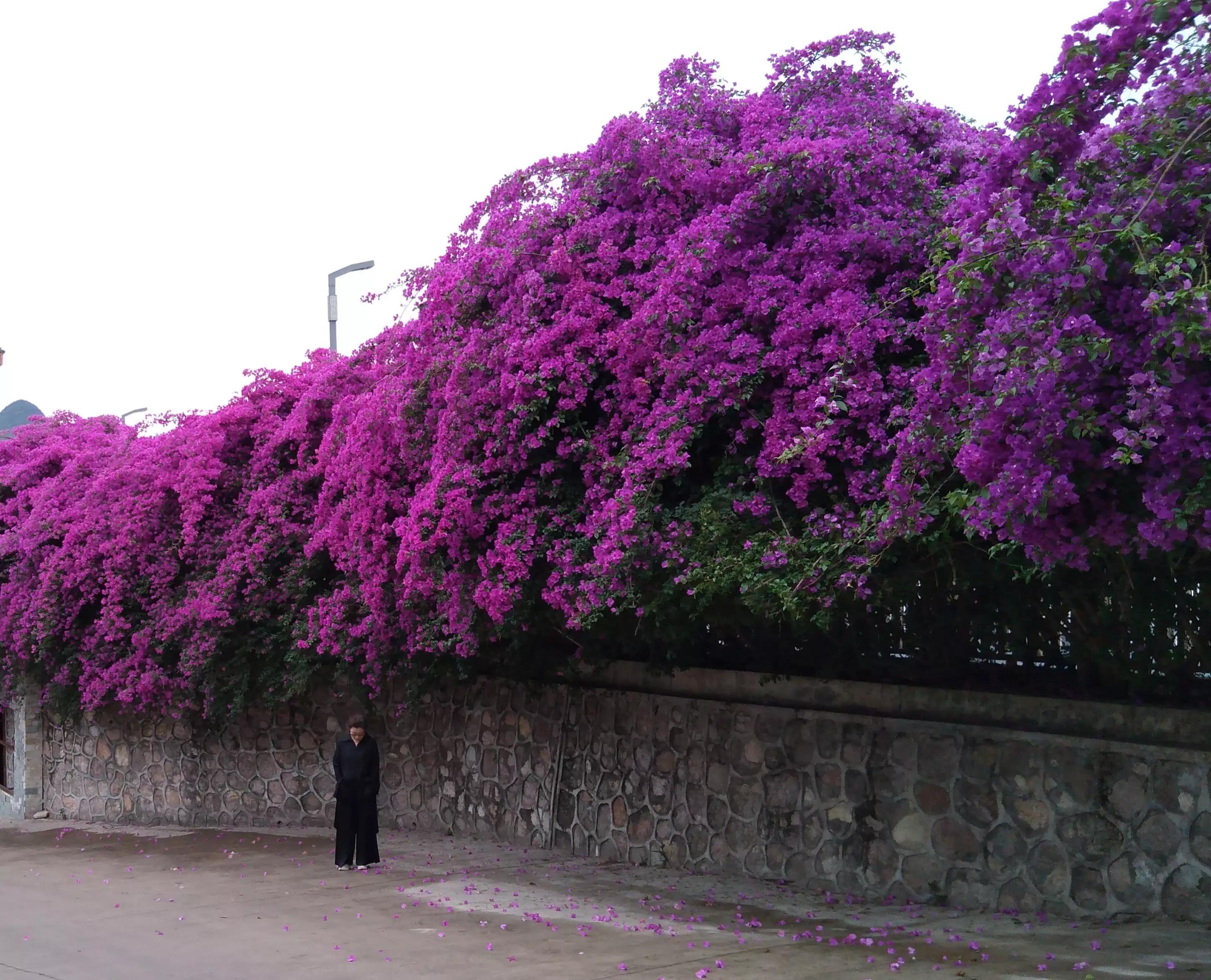 贵州魔幻城市,神奇的贵州贵阳