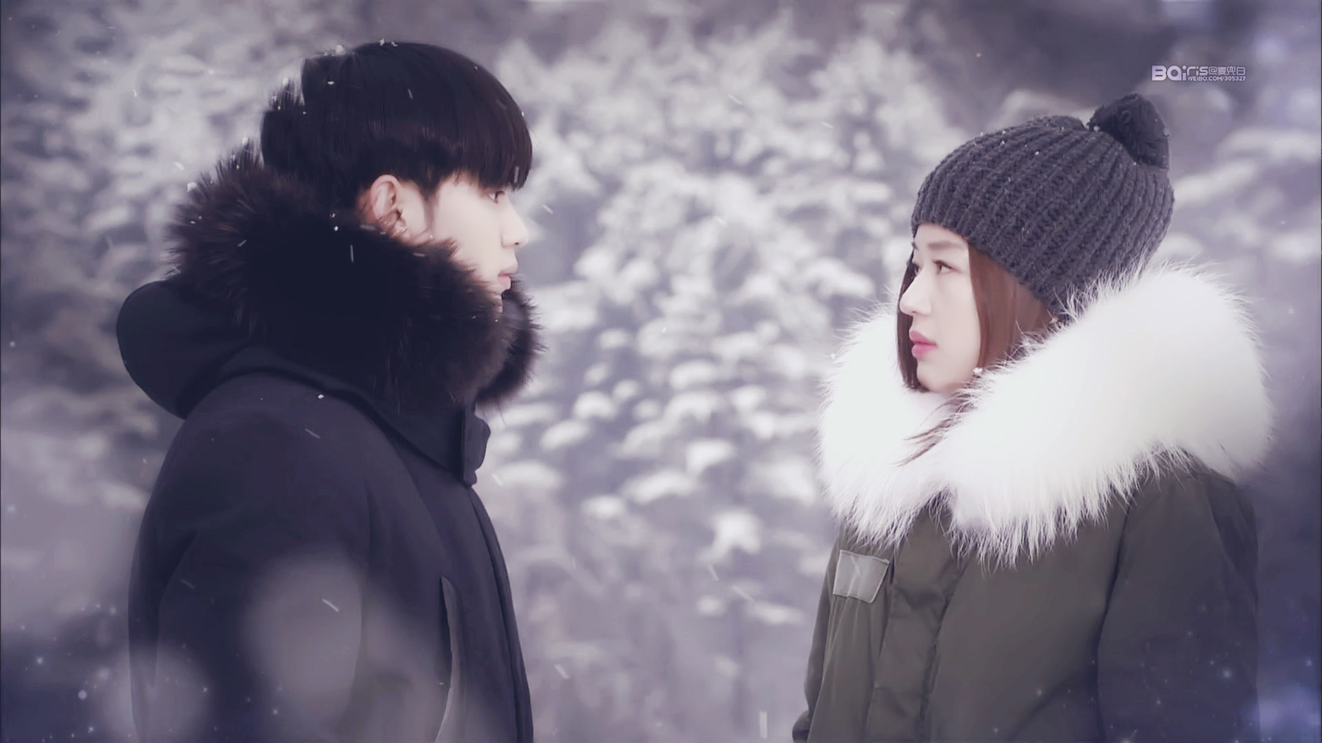 推荐5部适合在春日看的韩剧,十部熬夜必看经典韩剧