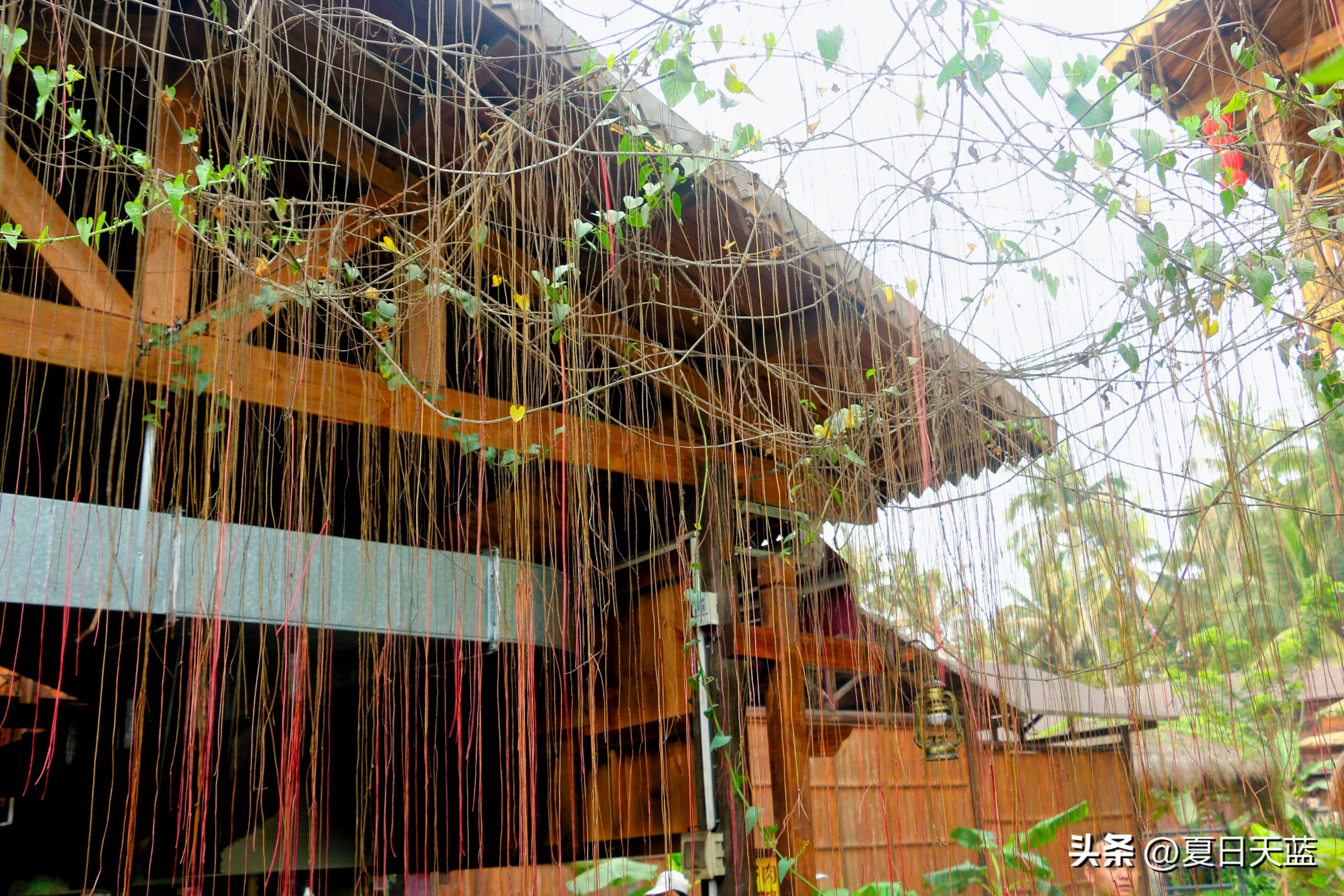 三亚度假最佳选择,三亚度假正确打开方式