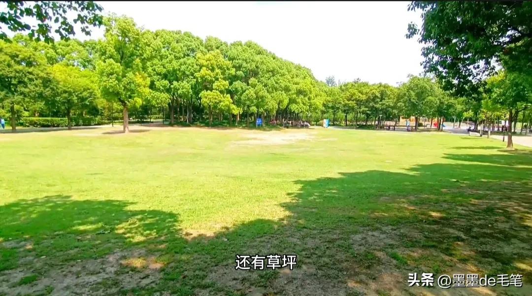 上海南京路网红打卡景点,上海景点网红街免费打卡圣地