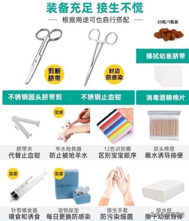 “我还没生，却给猫接生了…”