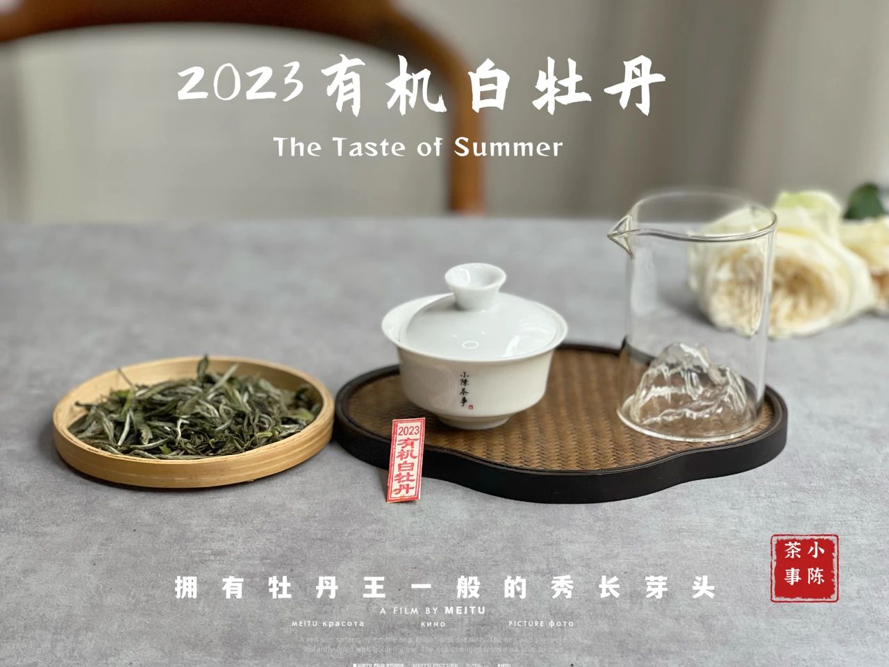 用防潮袋密封存茶可以吗,密封袋里的茶怎么储存