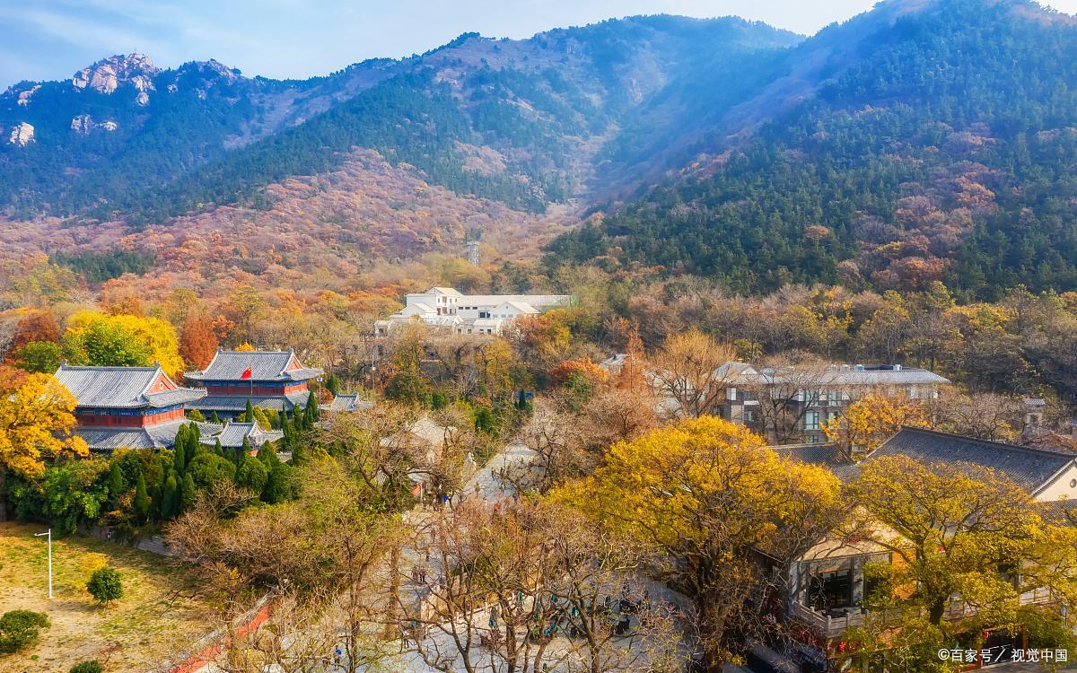 青岛旅游免门票景区有哪些,青岛旅游攻略最坑人的景点