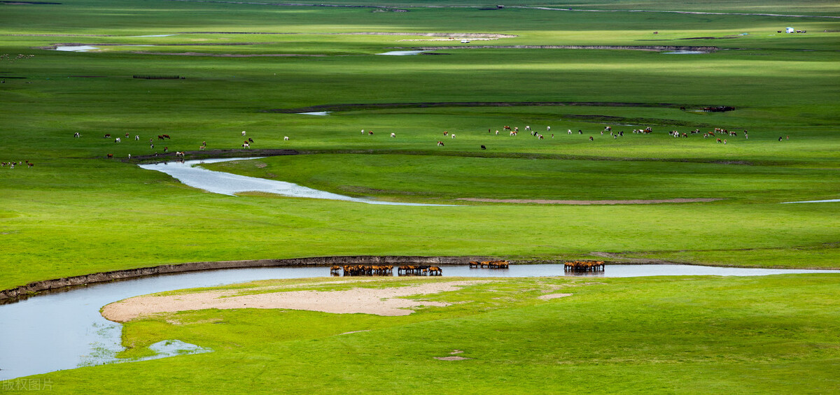 我国必去打卡的草原,呼伦贝尔值得去的草原