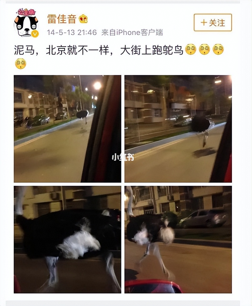 让观众们吐槽的演员林心如,林心如杨谨华金钟颁奖视频