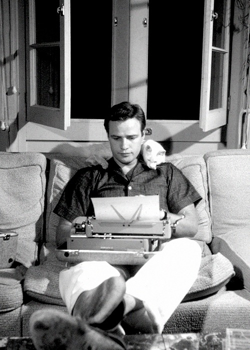 濂借幈鍧炴斁鑽′笉缇佺殑鐢峰,濂借幈鍧炵敺鏄庢槦鏀捐崱涓嶇緛