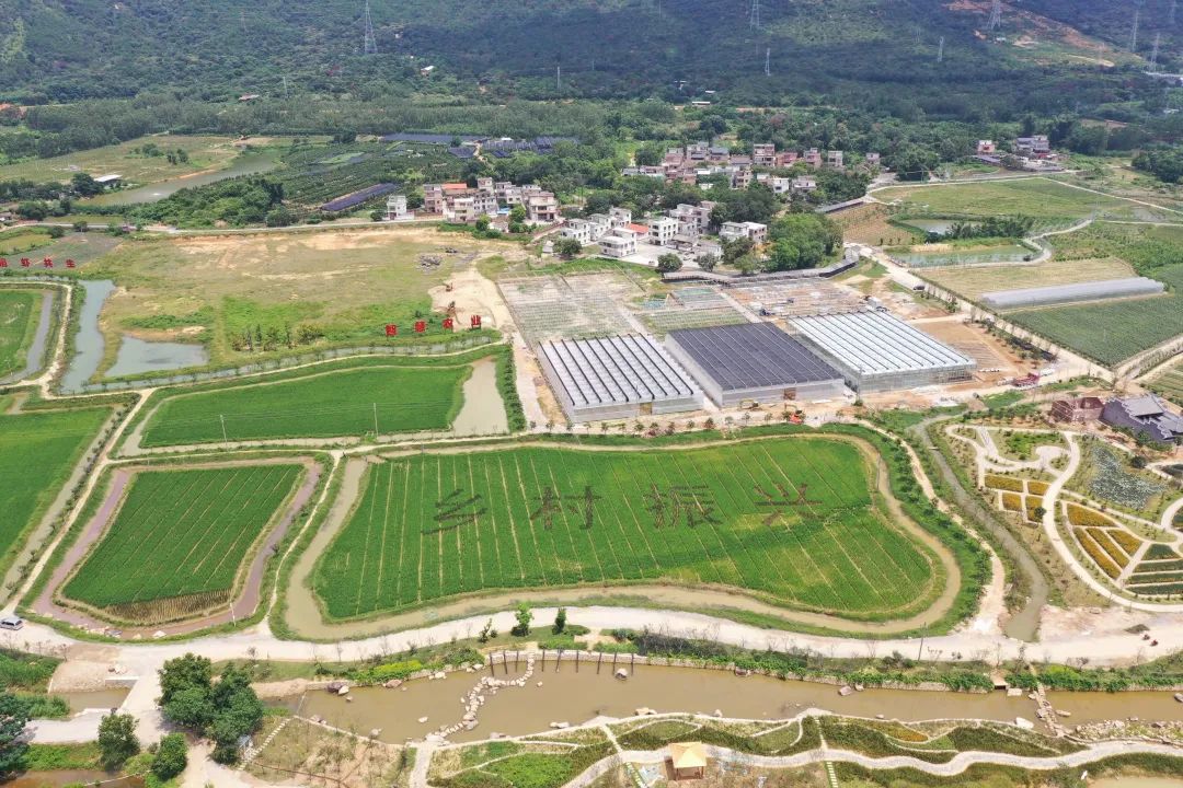 清远市清城区:扛起中心城区首位担当加速度推动高质量发展