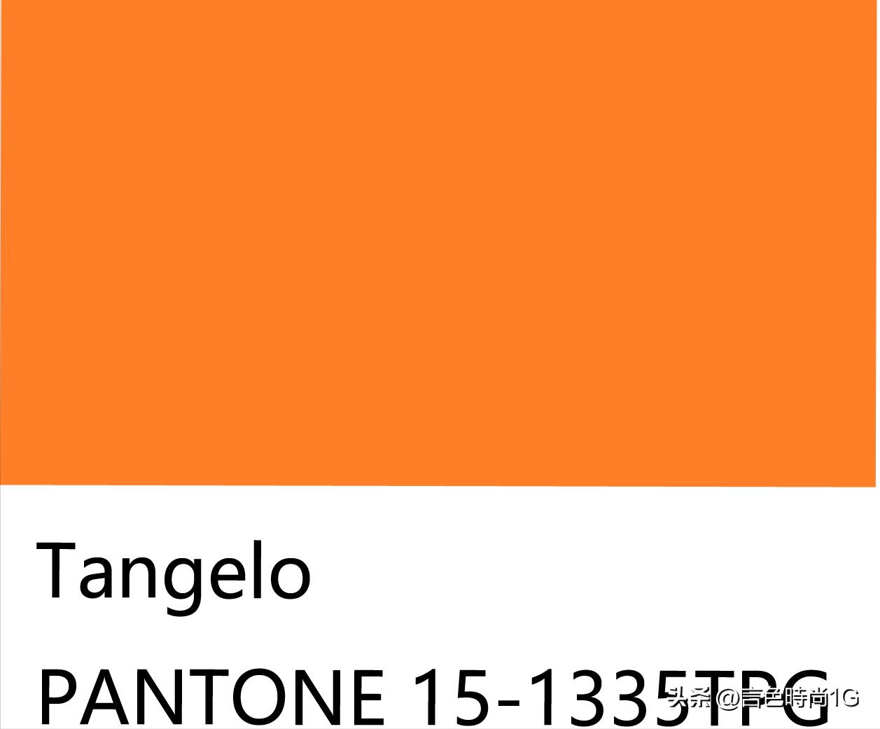 孙允珠黄棕色长裙,孙允珠奶油色裙子