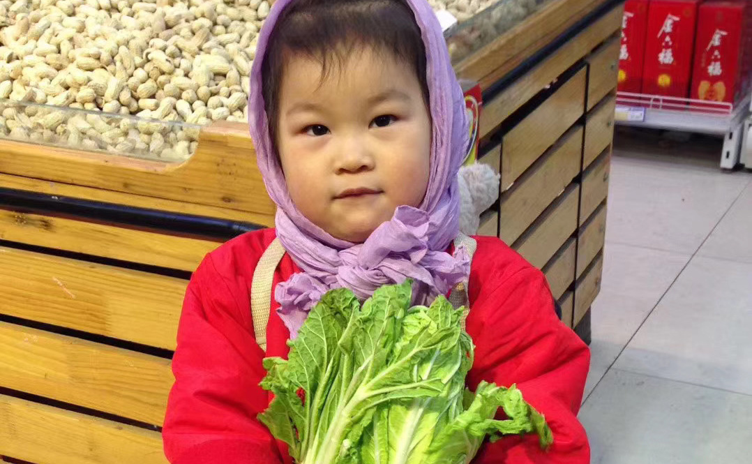 豌豆成长小知识,豌豆成长记录100例