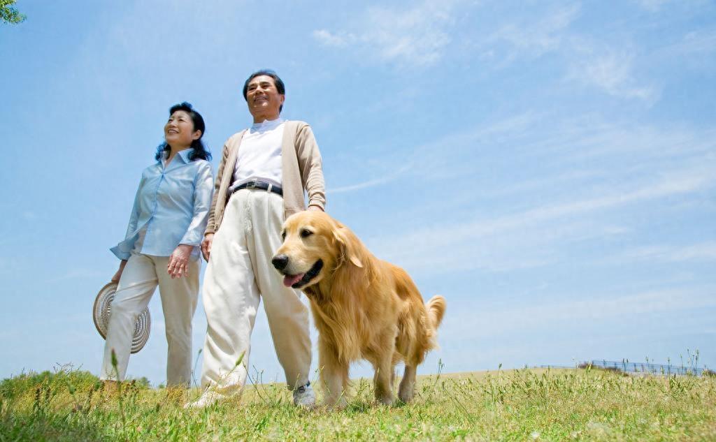 超细致的美甲教程一遍就能学会哦,教你做美甲一学就会超级简单