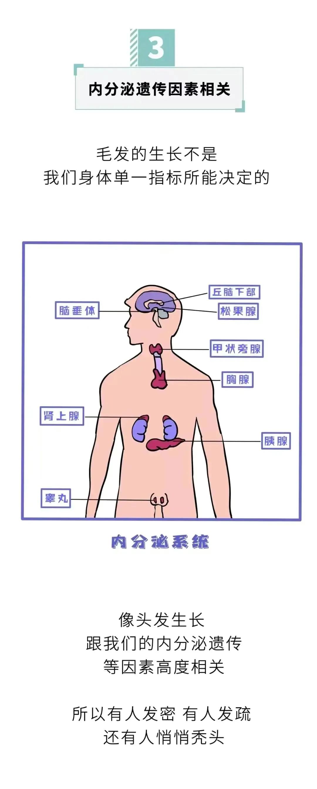 头发可以一直长，为什么“隐*处私**”的毛不能一直生长？