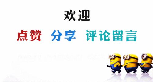 请问猫咪挑食吃什么猫粮最好,猫咪挑食不吃猫粮怎么纠正