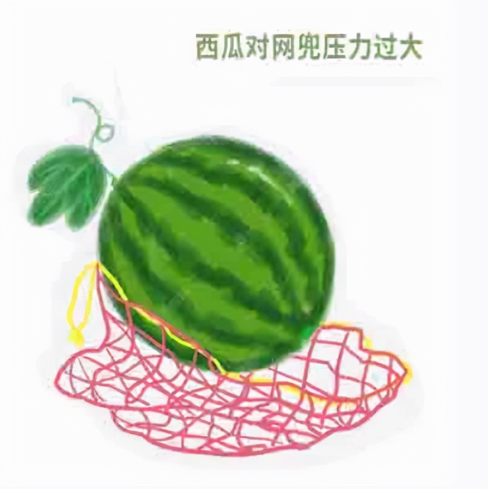 产后、绝经是道坎，盆底知多少？