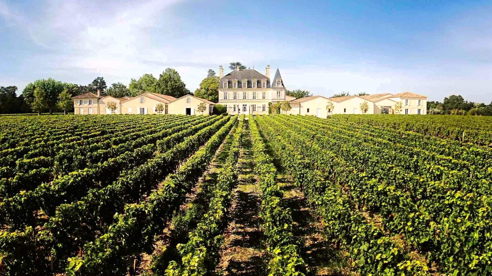 法国超级波尔多2018干红价格,波尔多批发价500元左右红酒