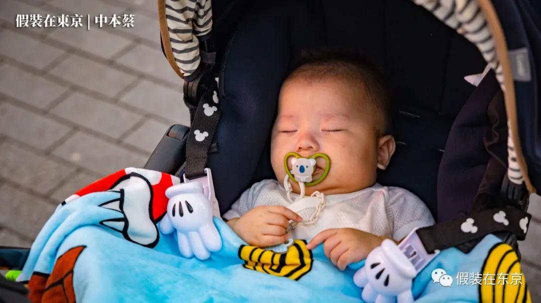 365张照片回顾,365张相片