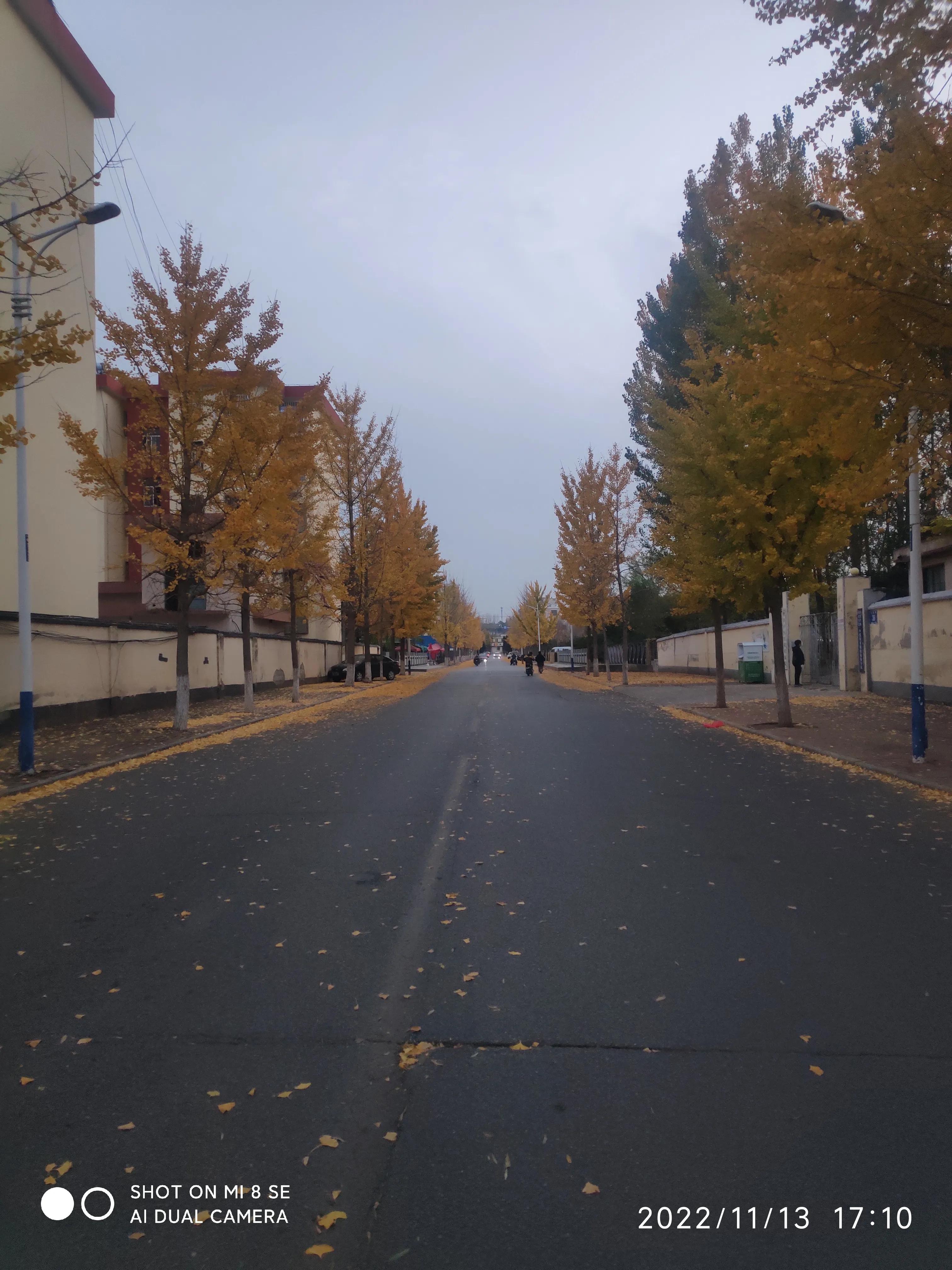 解封帖,解封记录怎么查