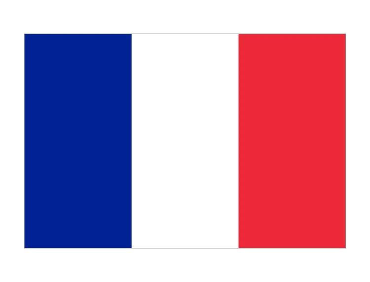 卡塔尔世界杯哪个球队能夺冠,卡塔尔世界杯十大热门球队