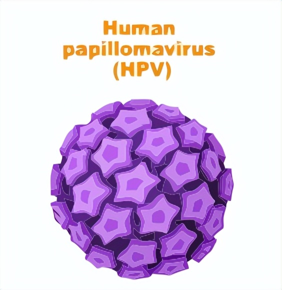 宫颈癌筛查的精准管理指南,宫颈癌筛查健康案例分析