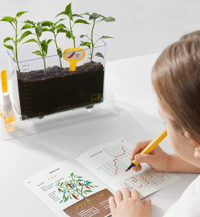 适合8岁小朋友的儿童节礼物,儿童节礼物适合大人