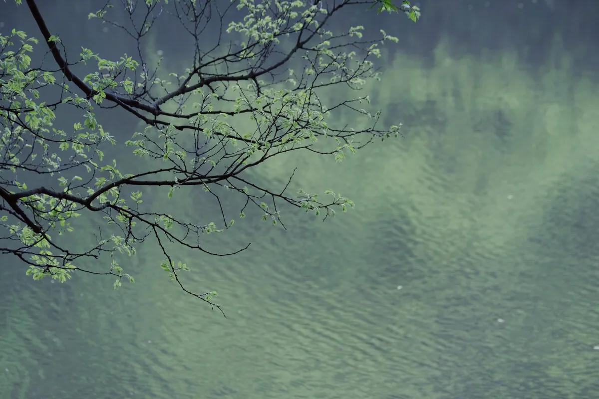 春到人间草木知立春诗词,十首立春诗词