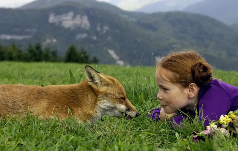 法国治愈系儿童电影,法国浪漫儿童片
