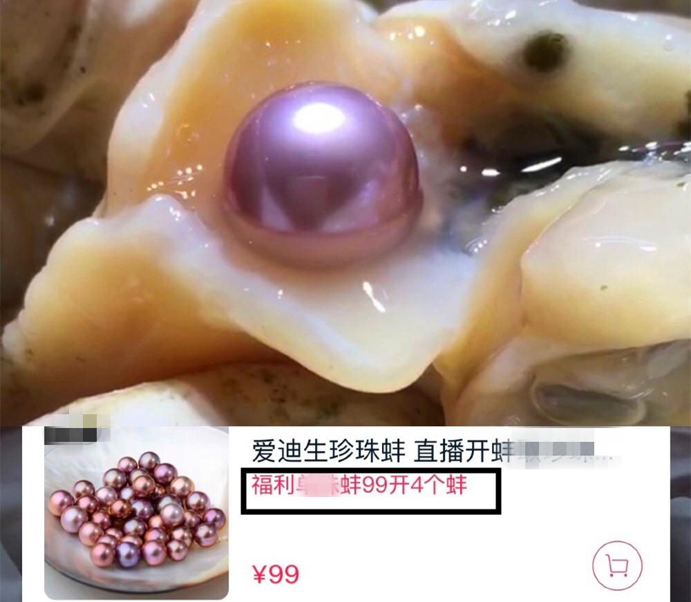 开蚌壳取珍珠一年赚多少钱,开蚌取珍珠直播大揭秘